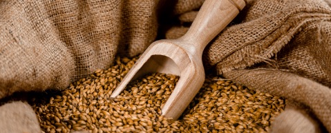 Nos produits locaux et surtout 100% Bio