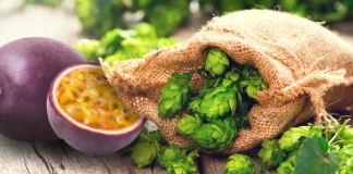 Freestyle Hops Kohia Nelson