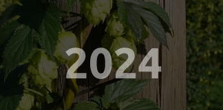 Freestyle Hops Houblon RIWAKA