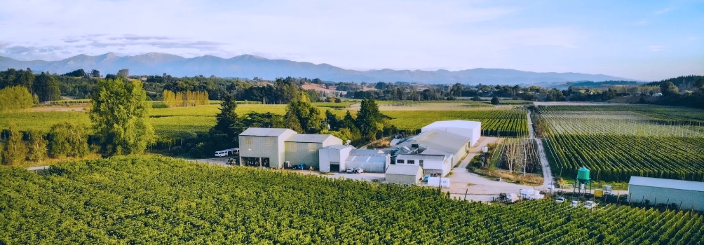 La Ferme Freestyle Hops au sommet de Te Tauihi