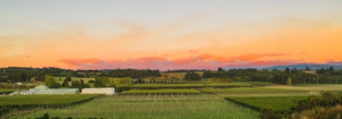 Vue de la ferme Freestyle Hops